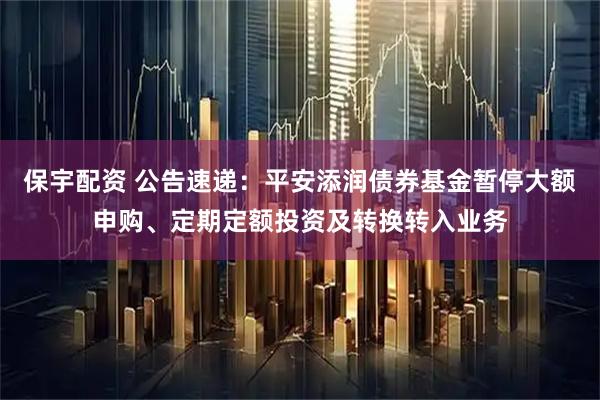 保宇配资 公告速递：平安添润债券基金暂停大额申购、定期定额投资及转换转入业务