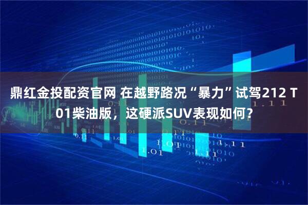 鼎红金投配资官网 在越野路况“暴力”试驾212 T01柴油版，这硬派SUV表现如何？