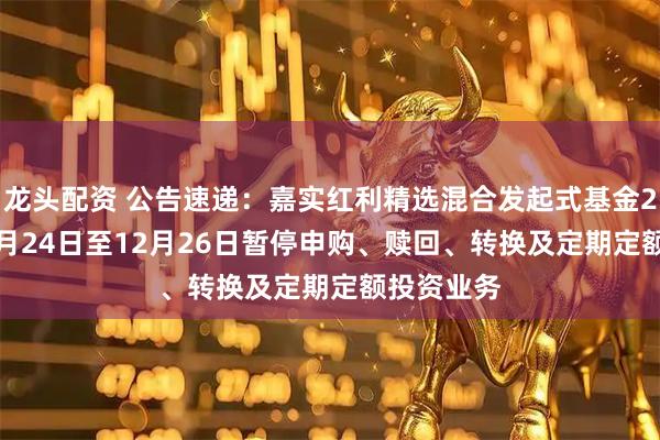 龙头配资 公告速递：嘉实红利精选混合发起式基金2025年12月24日至12月26日暂停申购、赎回、转换及定期定额投资业务