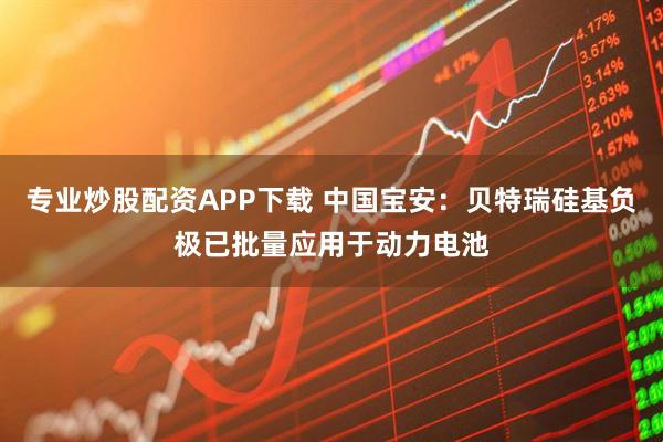 专业炒股配资APP下载 中国宝安：贝特瑞硅基负极已批量应用于动力电池